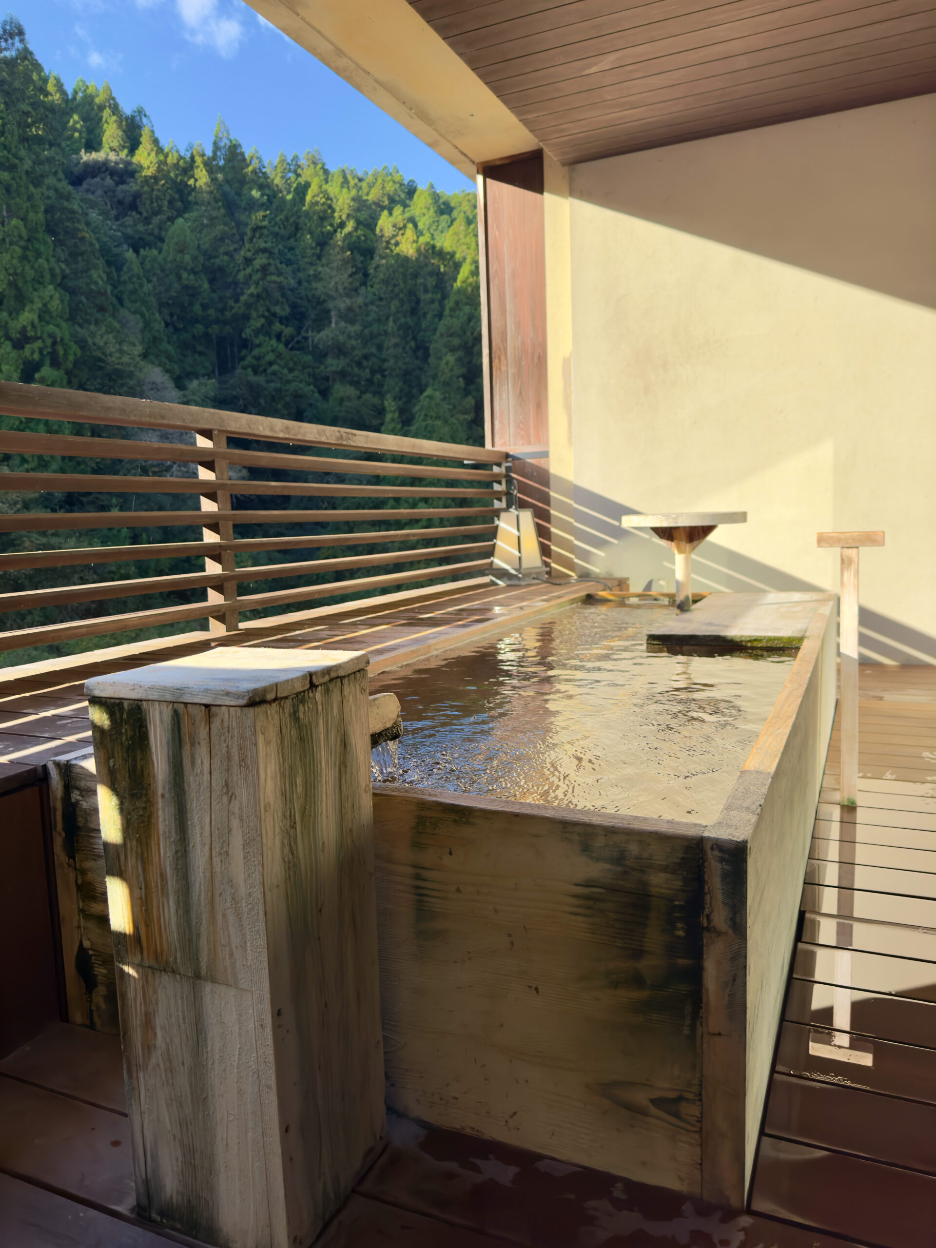 Kawayu Onsen Fujiya, Japan