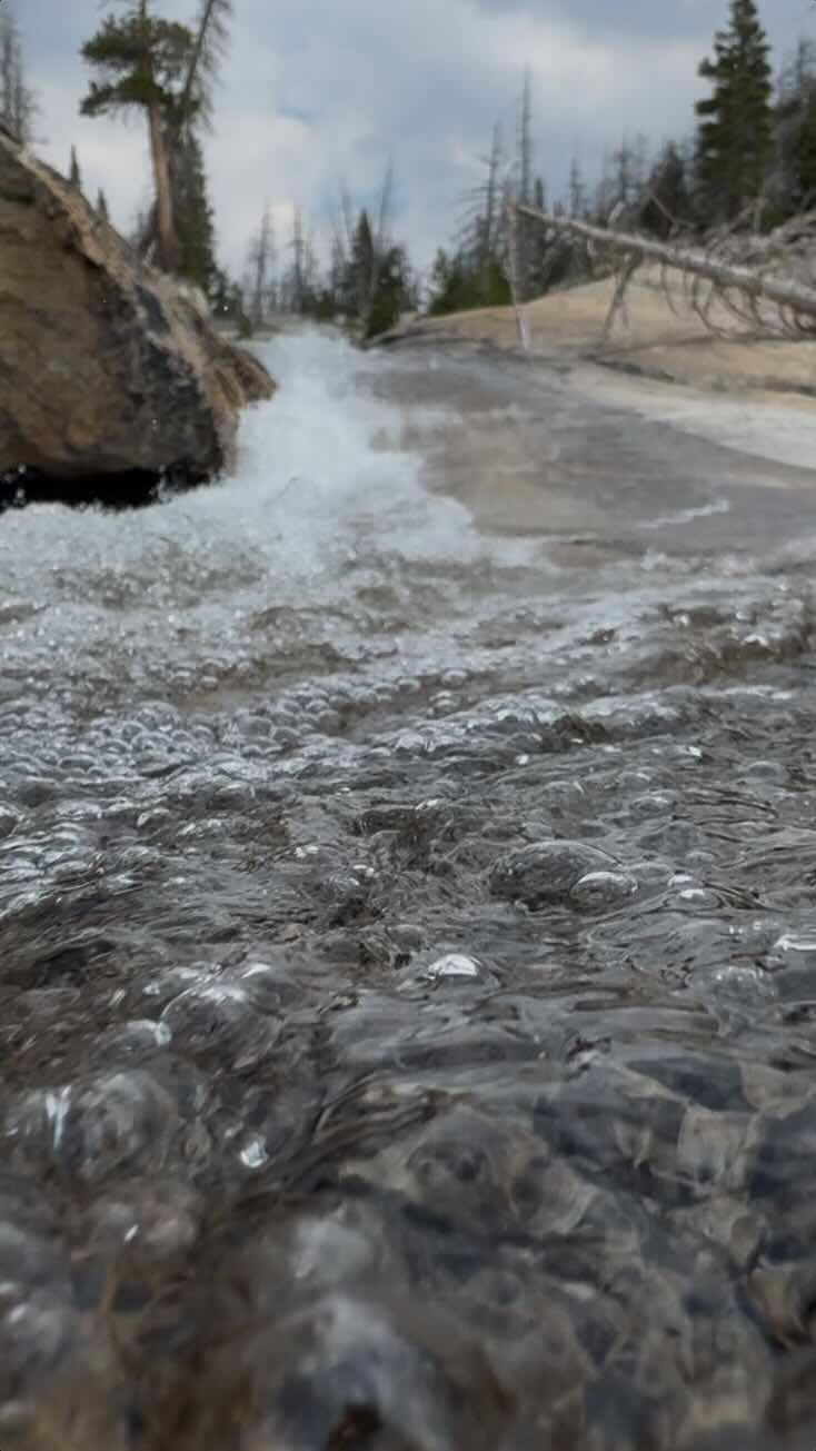 Stream, Yosemite