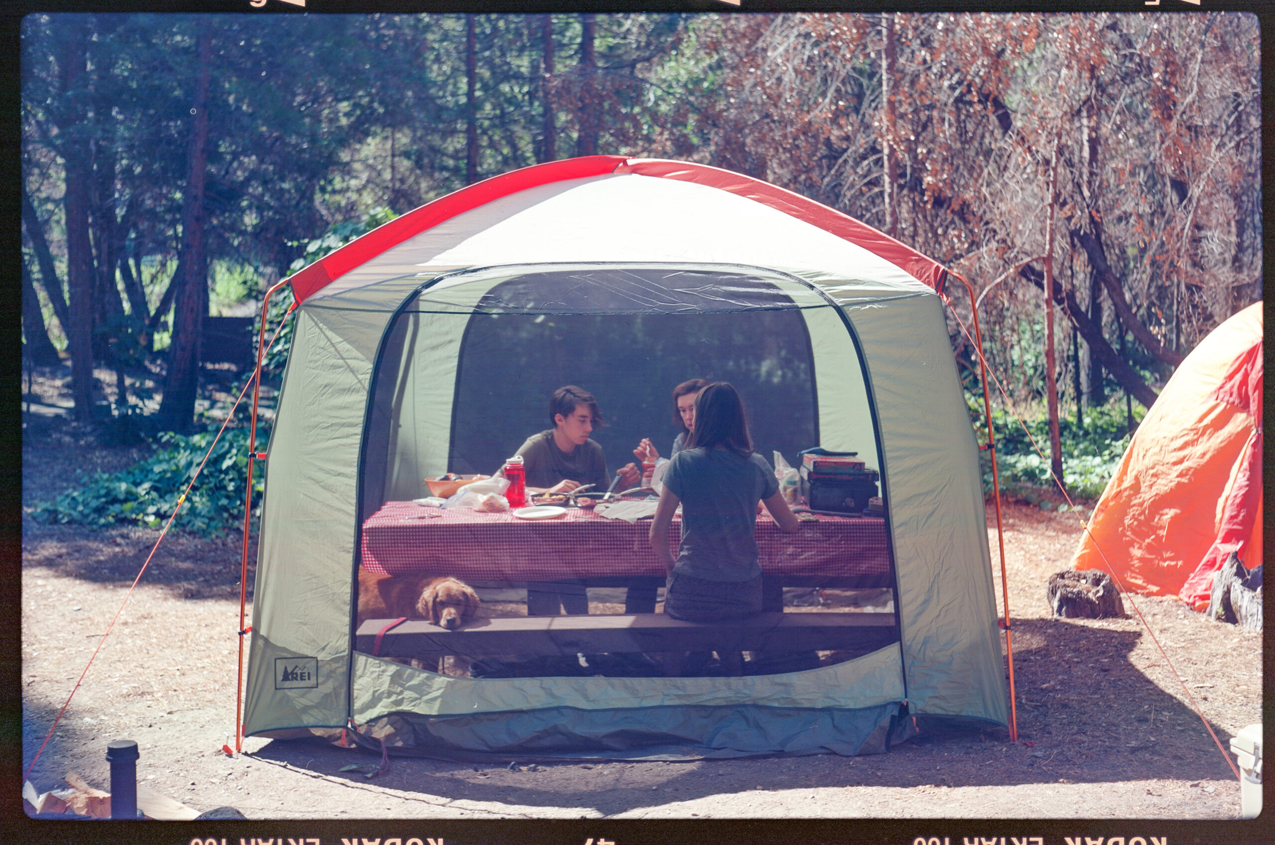 Laura, Sierrra, And Kade Stark And Riley, Plumas National Forest, CA
