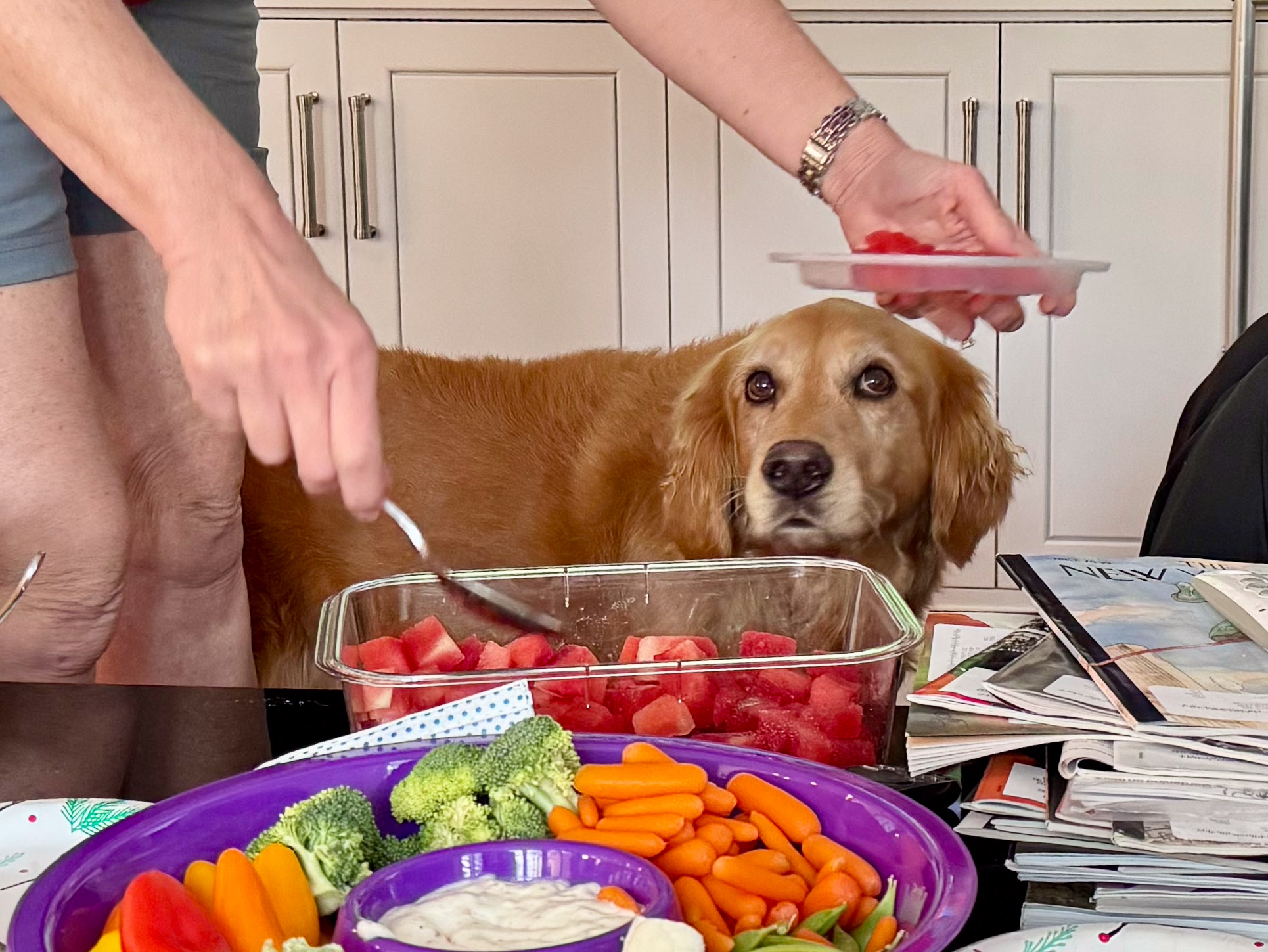 Riley, Palo Alto, CA