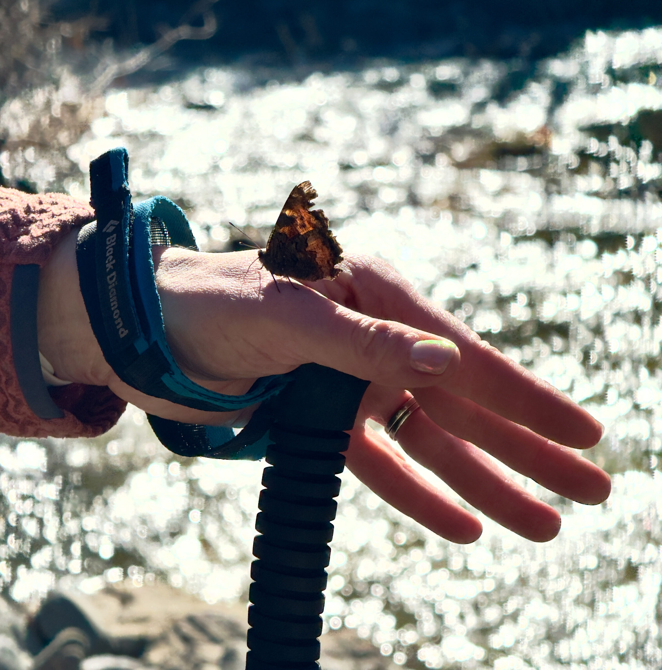 Henry Coe State Park, CA