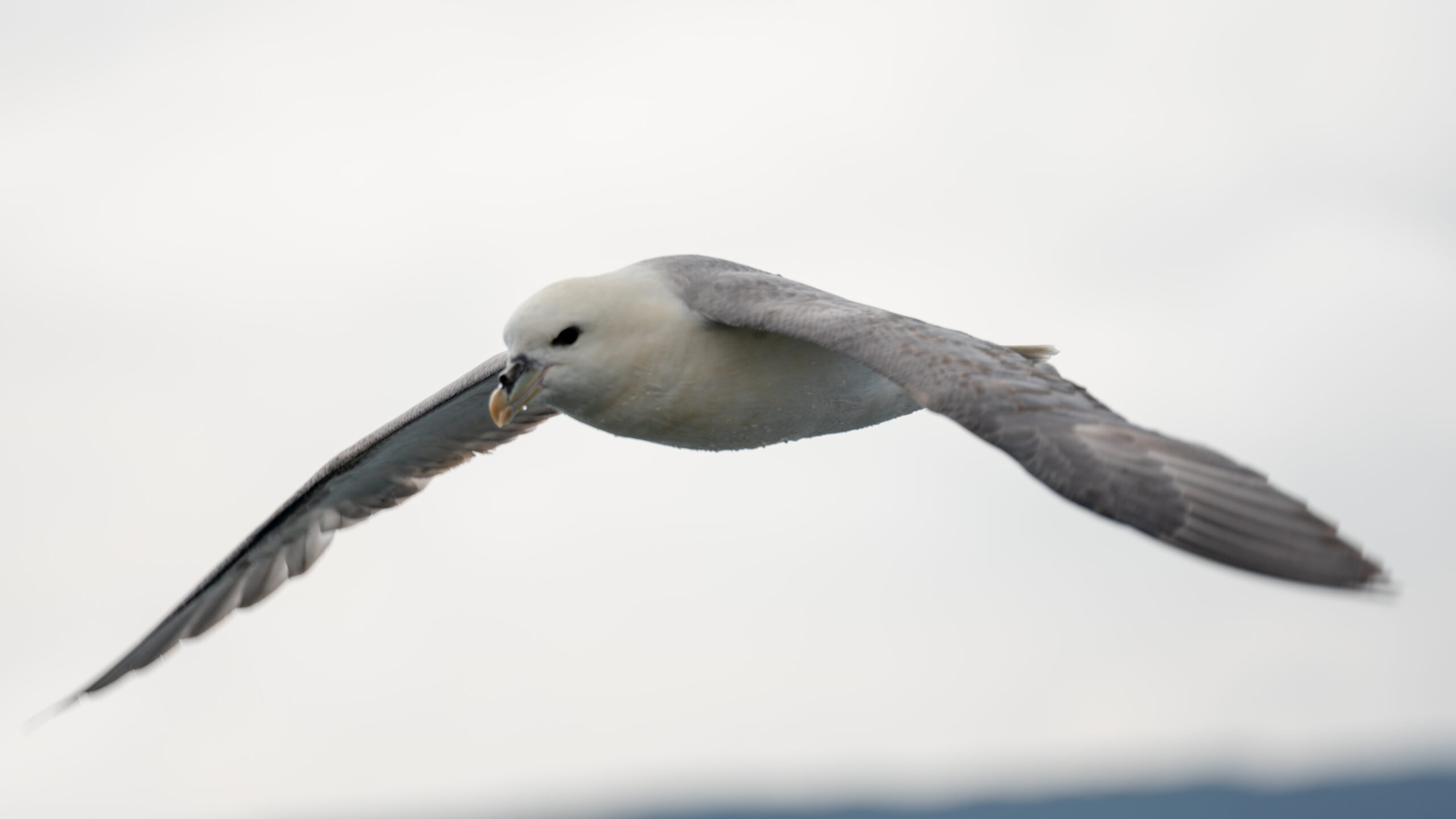 Snæfellsnes, Iceland