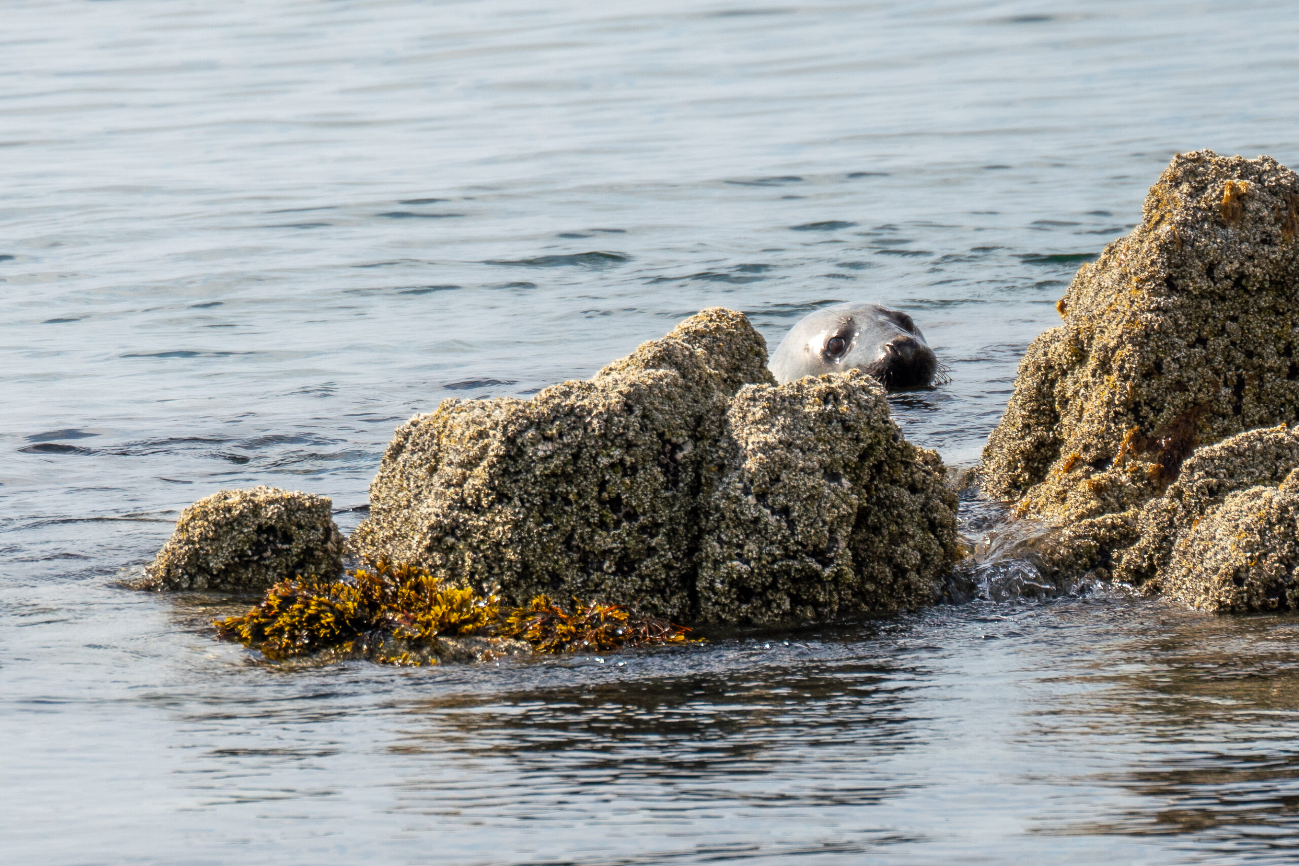 Snæfellsnes, Iceland
