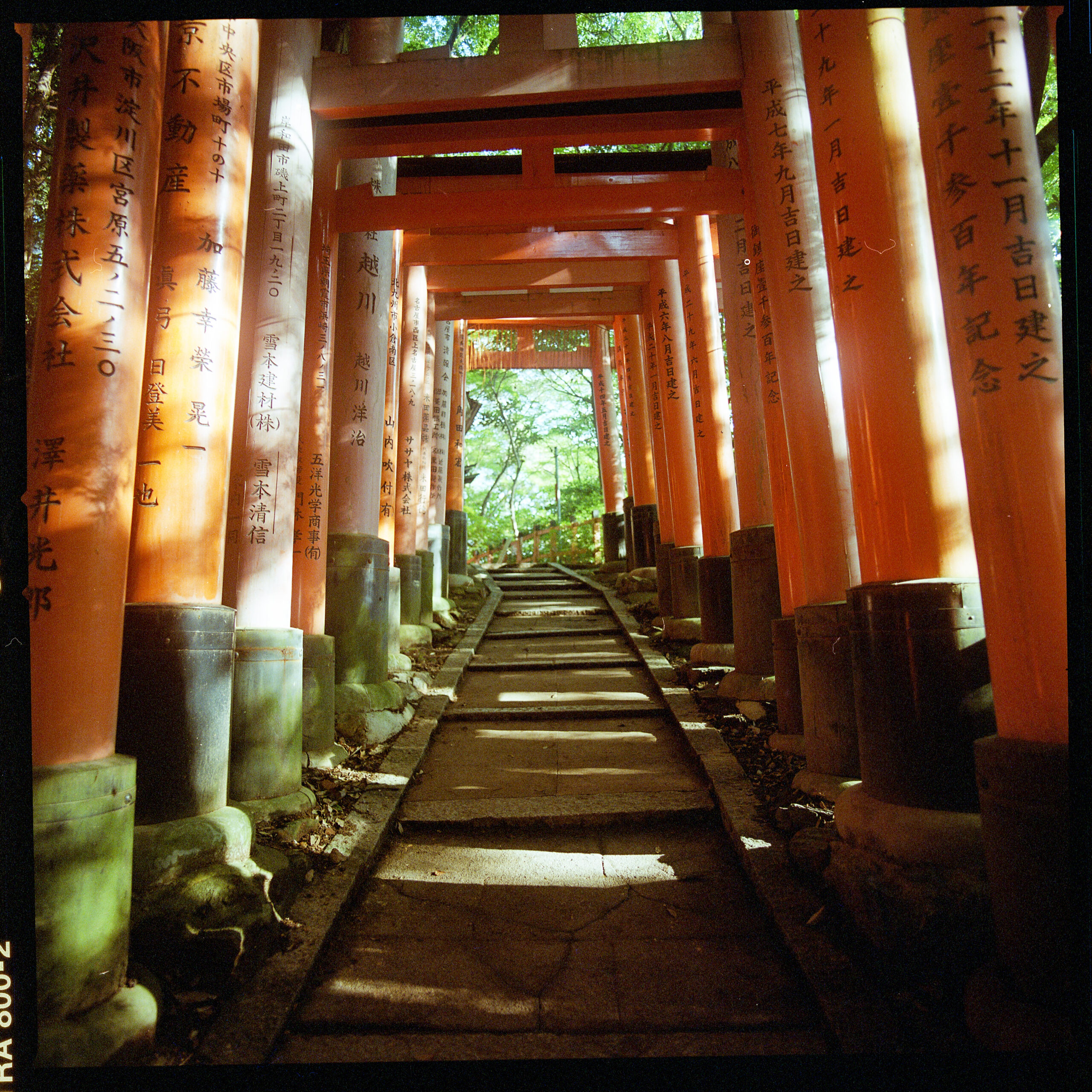 Fushimi Inari Shrine, Kyoto