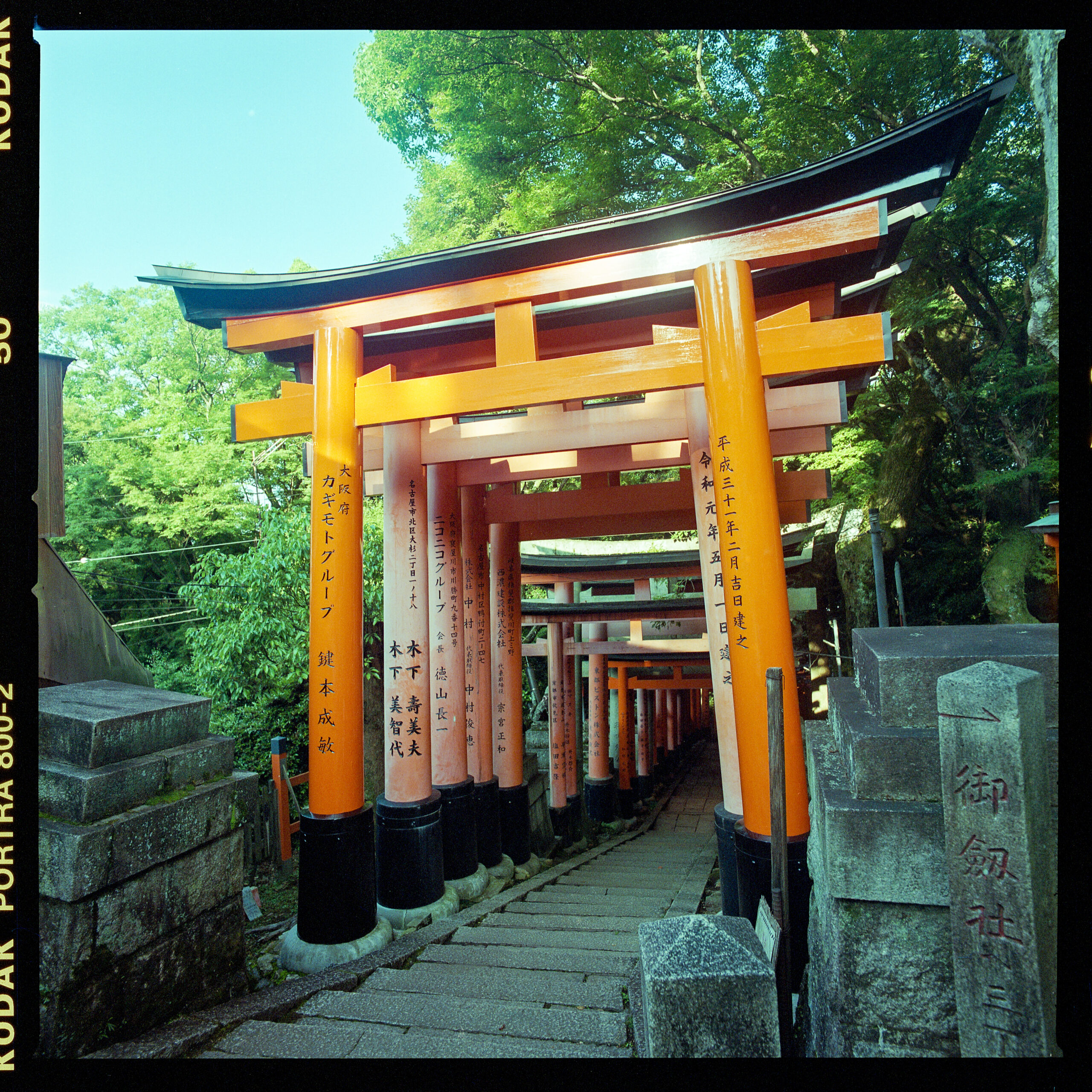 Fushimi Inari Shrine, Kyoto