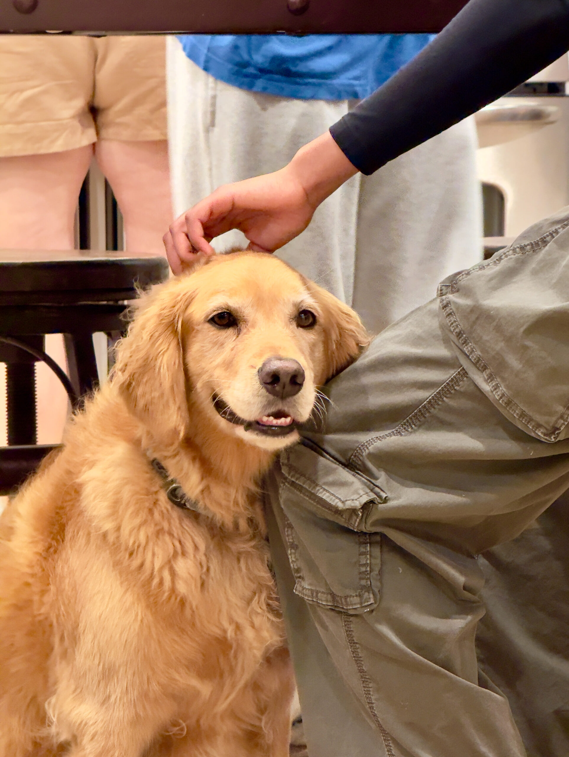 Riley Stark, San Diego, CA