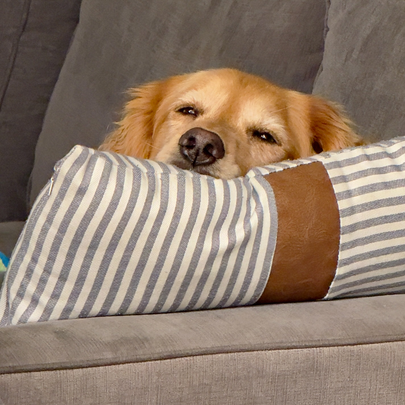 Riley Stark, San Diego, CA