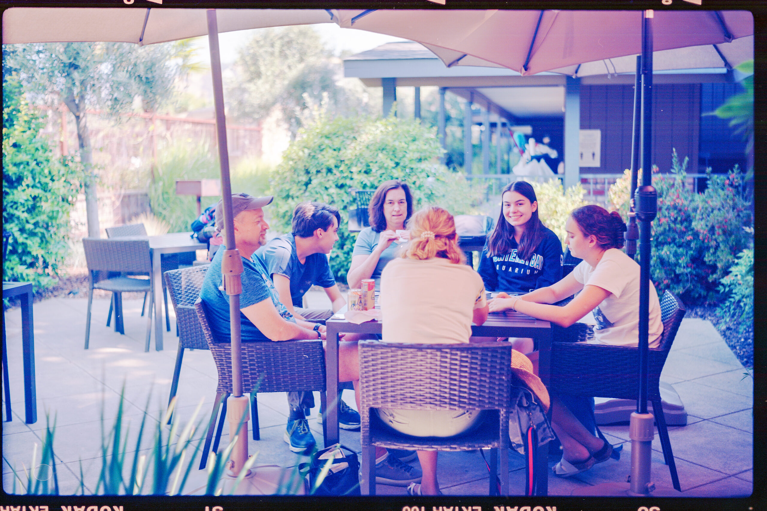 Denis, Suzette, And Phoebe Gulsen, Kade, Laura, And Sierra Stark, Calistoga, CA