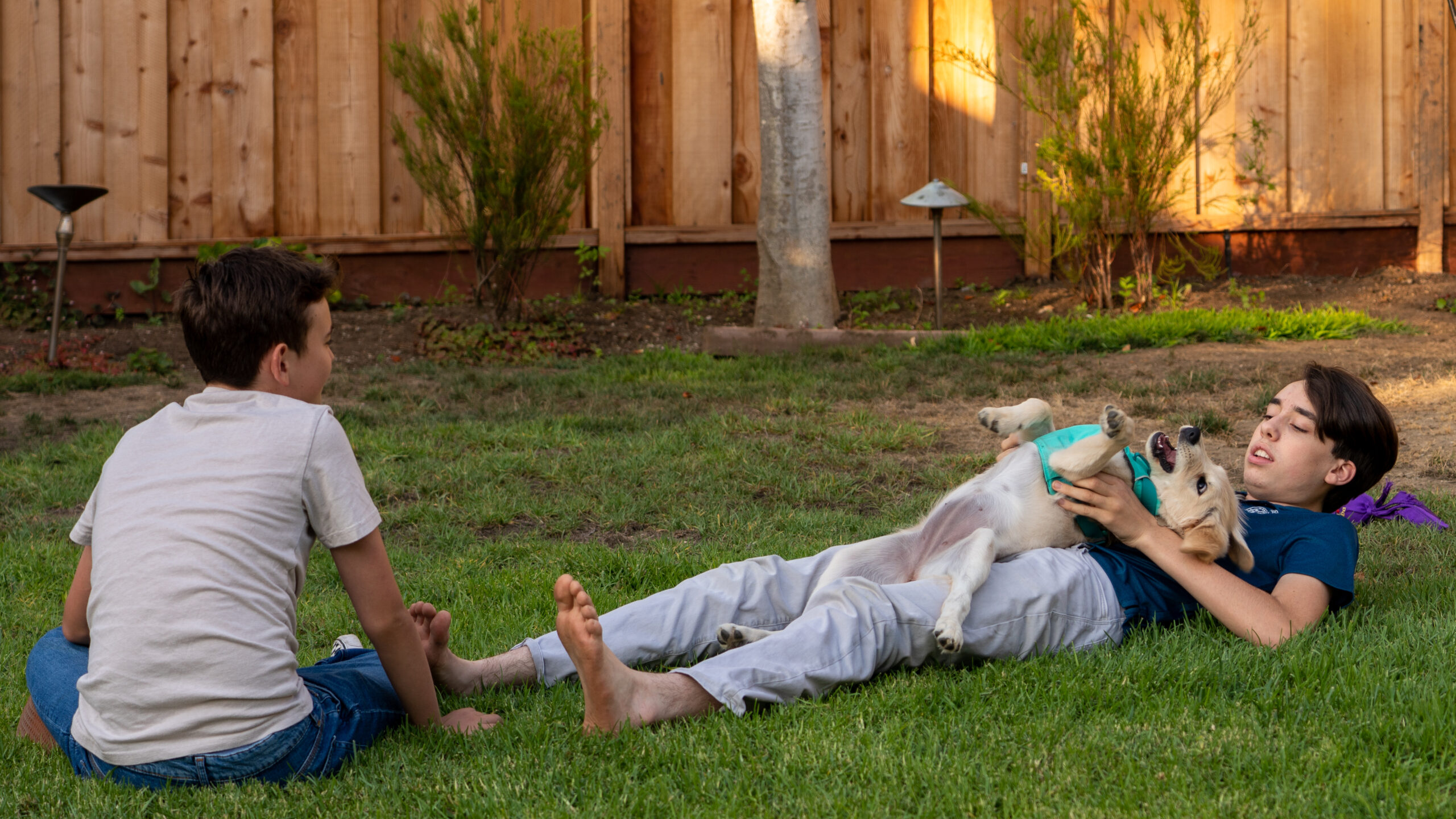 Liam Gulsen And Kade Stark And Lily, Palo Alto, CA