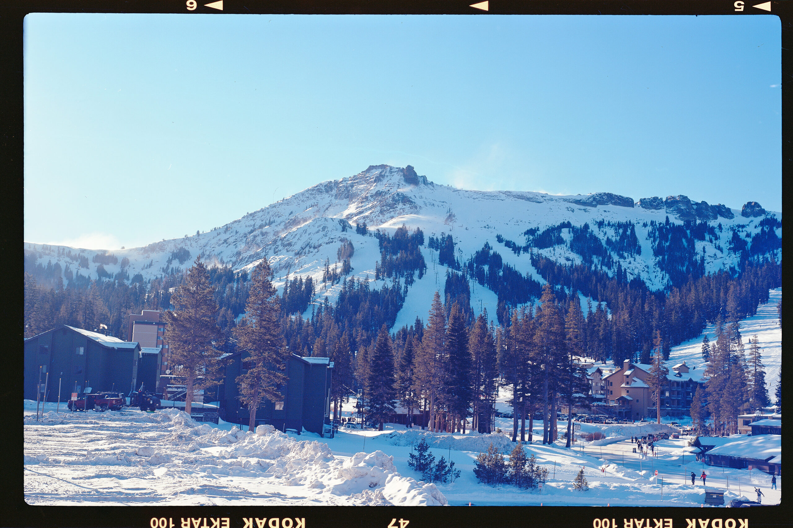 NewYears2021 14154973