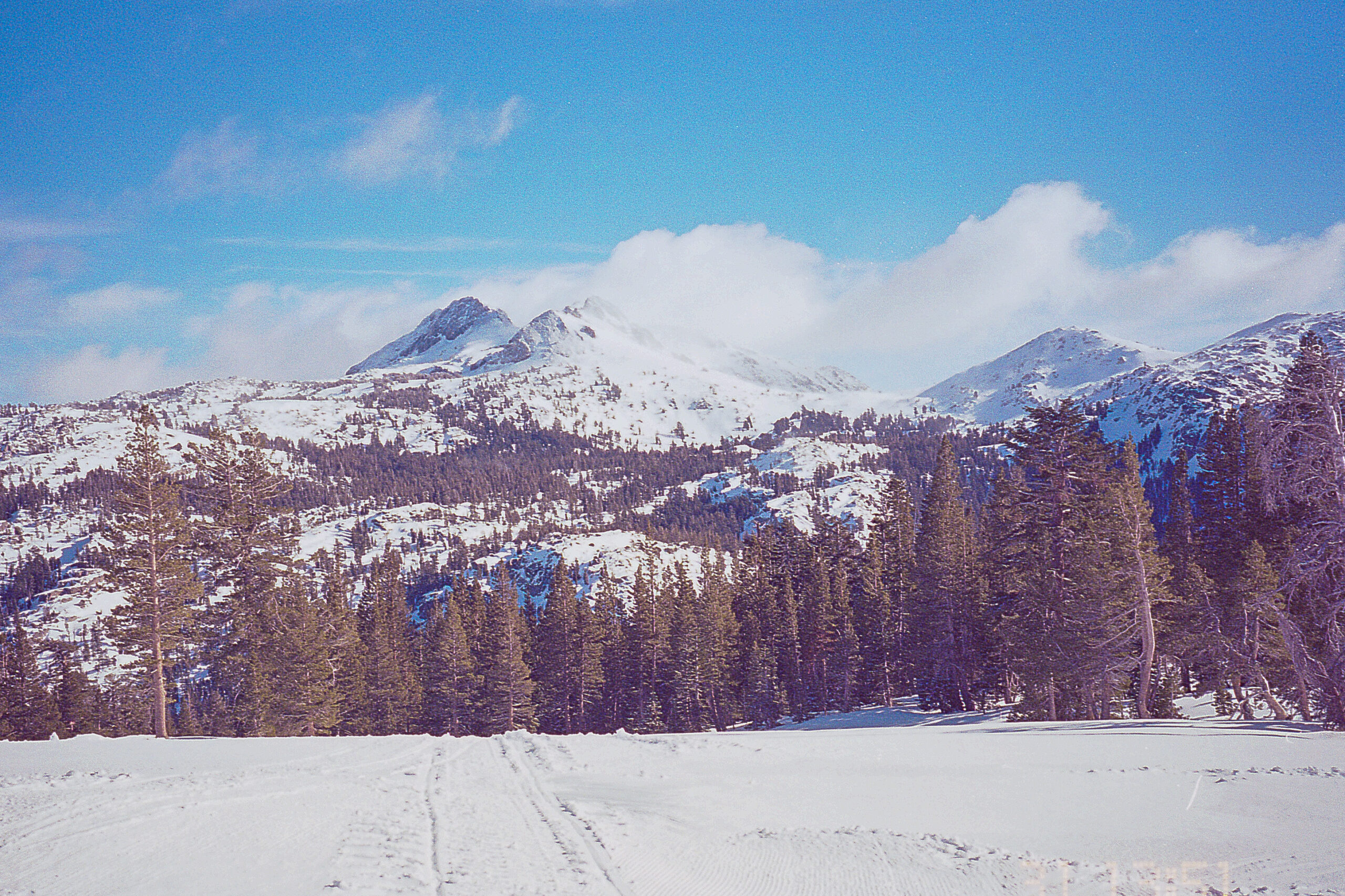 NewYears2021 16315578