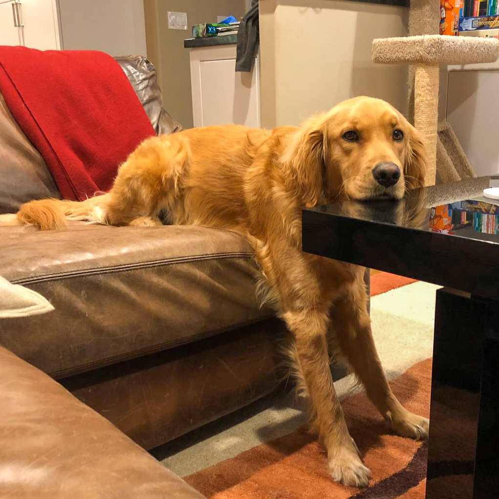 Riley, Palo Alto, CA